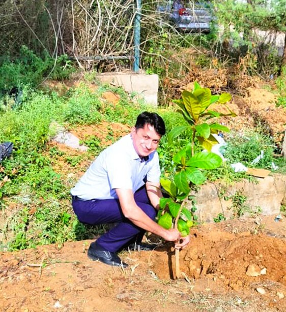 Growing-green-together-2