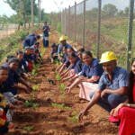 environment-day-2025-05